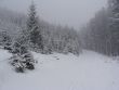 ÖGV-Skitour zum Tirolerkogel